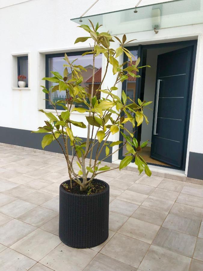 Casa Patio Country House Enxara do Bispo Luaran gambar